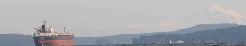 C.VISION Bulk Carrier IMO 9344473 photo 6