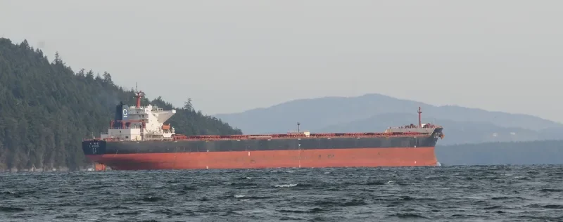 C.VISION Bulk Carrier IMO 9344473 photo 7