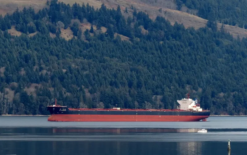C.VISION Bulk Carrier IMO 9344473 photo 10