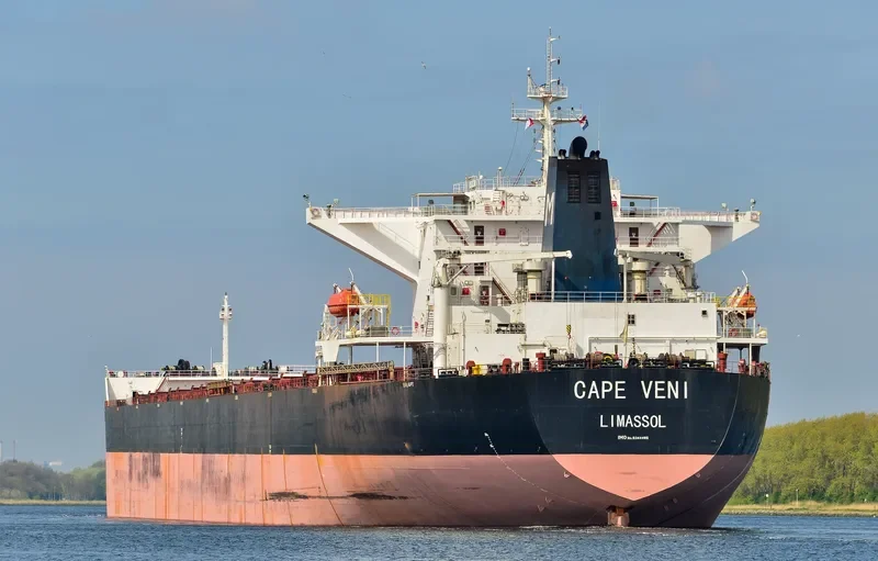 CAPE VENI Bulk Carrier IMO 9344485 photo 2