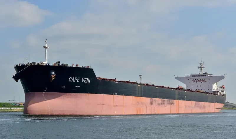 CAPE VENI Bulk Carrier IMO 9344485 photo 3
