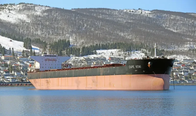 CAPE VENI Bulk Carrier IMO 9344485 photo 4