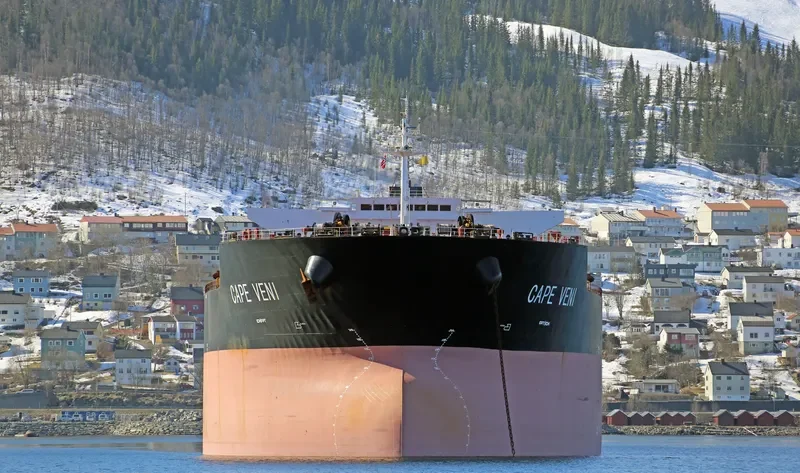 CAPE VENI Bulk Carrier IMO 9344485 photo 5