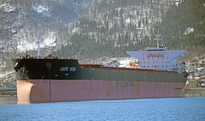 CAPE VENI Bulk Carrier IMO 9344485 photo 13