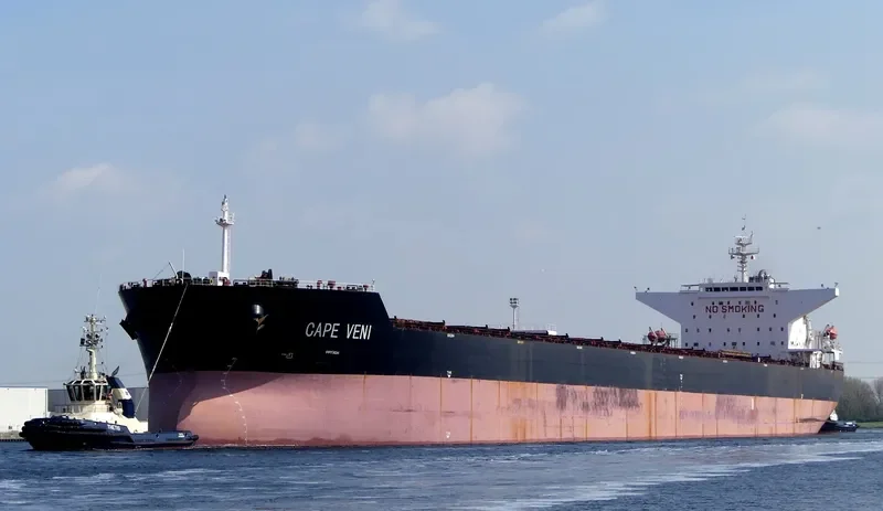 CAPE VENI Bulk Carrier IMO 9344485 photo 17