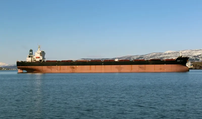 CAPE VENI Bulk Carrier IMO 9344485 photo 21