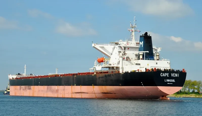 CAPE VENI Bulk Carrier IMO 9344485 photo 30