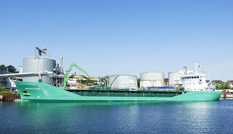 ARKLOW RAVEN General Cargo IMO 9344538 photo 8