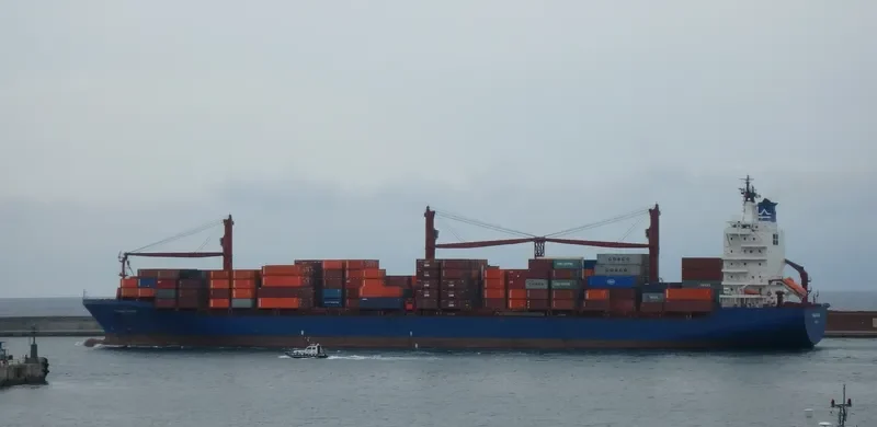 FAYSTON FARMS Container Ship IMO 9344552 photo 5