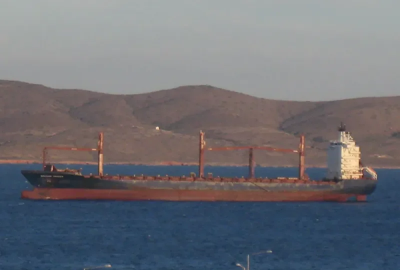 MSC YURIDA III Container Ship IMO 9344564 photo 7