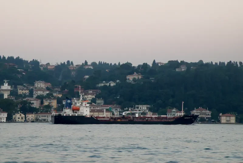 VASILIKI Tanker IMO 9344588 photo 10