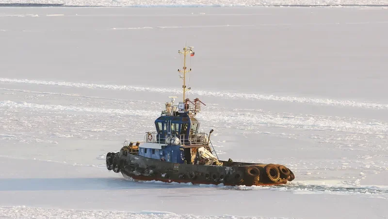 NOVIK General Cargo IMO 9344605 photo 5