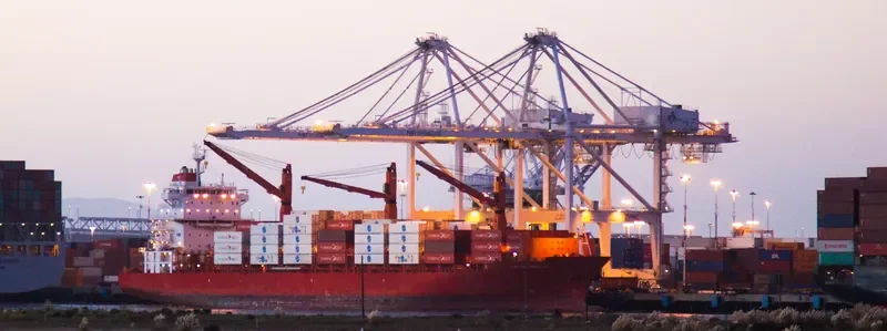 CAP PALMERSTON Container Ship IMO 9344643 photo 2
