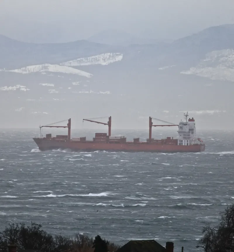 CAP PALMERSTON Container Ship IMO 9344643 photo 9