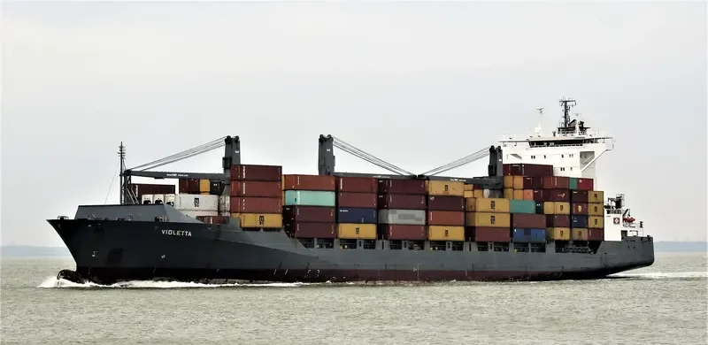 VIOLETTA Container Ship IMO 9344710 photo 10