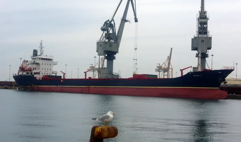 MAXIMUS 1 General Cargo IMO 9344734 photo 7