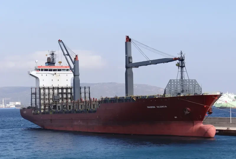 MAERSK VALENCIA Container Ship IMO 9344954 photo 2