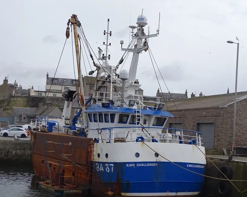 KING CHALLENGER General Cargo IMO 9345099 photo 4