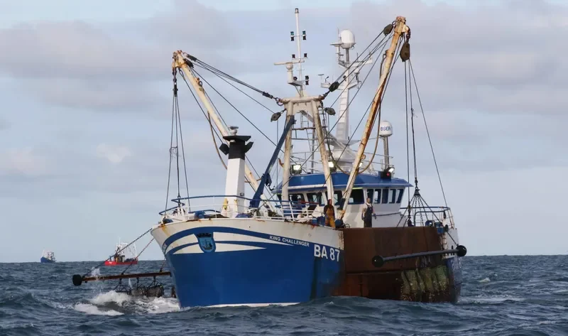 KING CHALLENGER General Cargo IMO 9345099 photo 8