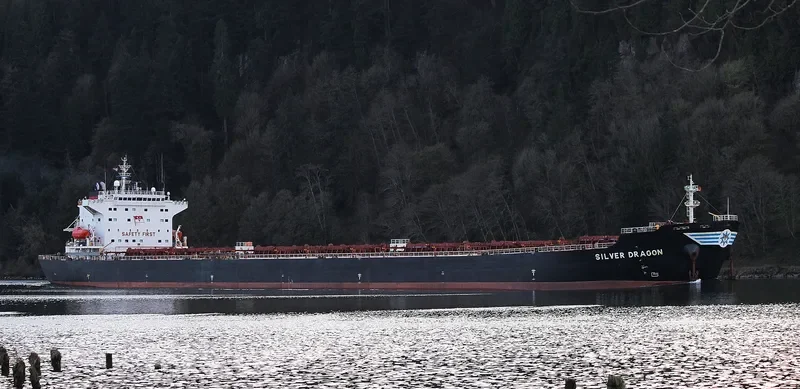 BRIGHT SUCESS General Cargo IMO 9345178 photo 6