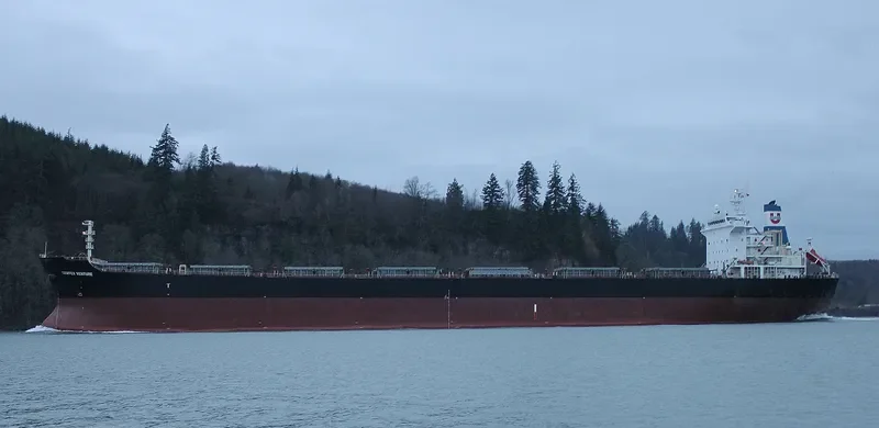 HC ENERGY Bulk Carrier IMO 9345324 photo 3