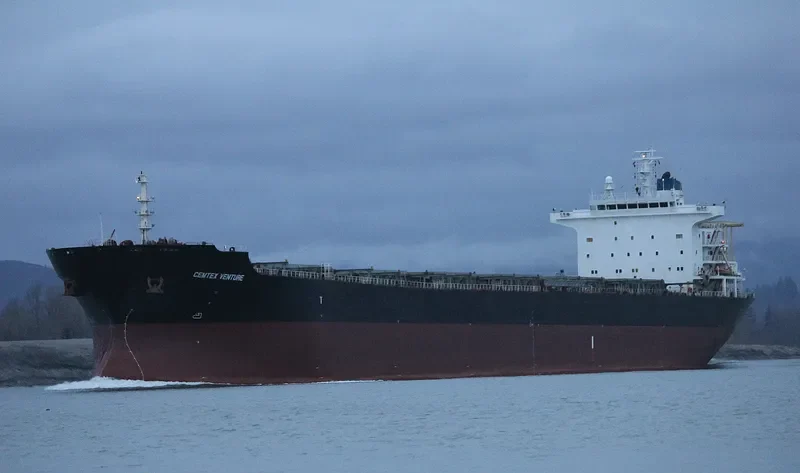 HC ENERGY Bulk Carrier IMO 9345324 photo 5