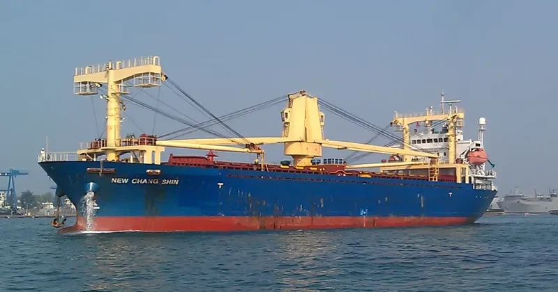 VW GOLD General Cargo IMO 9345568 photo 8