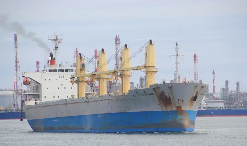 CSE CLIPPER EXPRESS Bulk Carrier IMO 9345635 photo 2