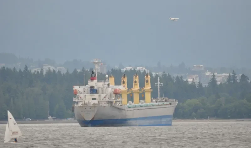 CSE CLIPPER EXPRESS Bulk Carrier IMO 9345635 photo 10