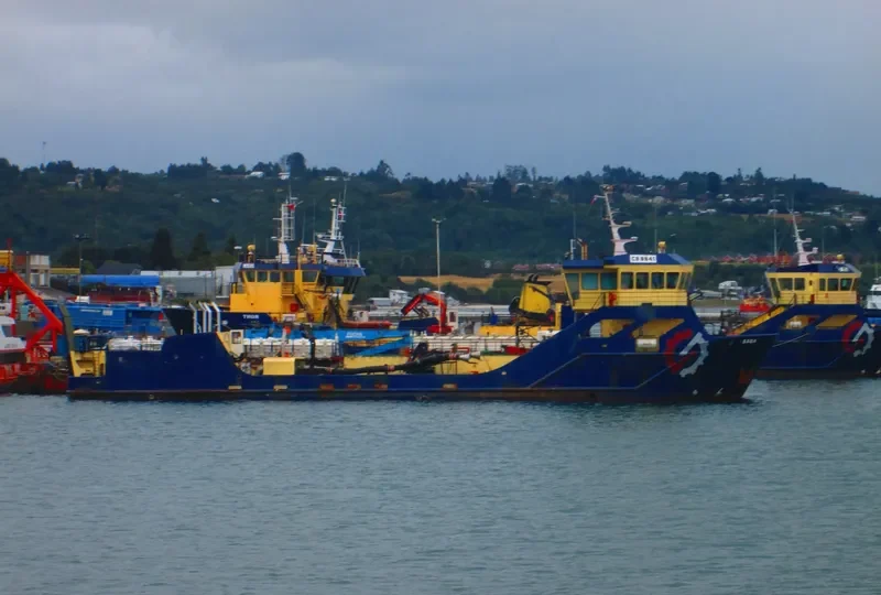 SAGA General Cargo IMO 9345752