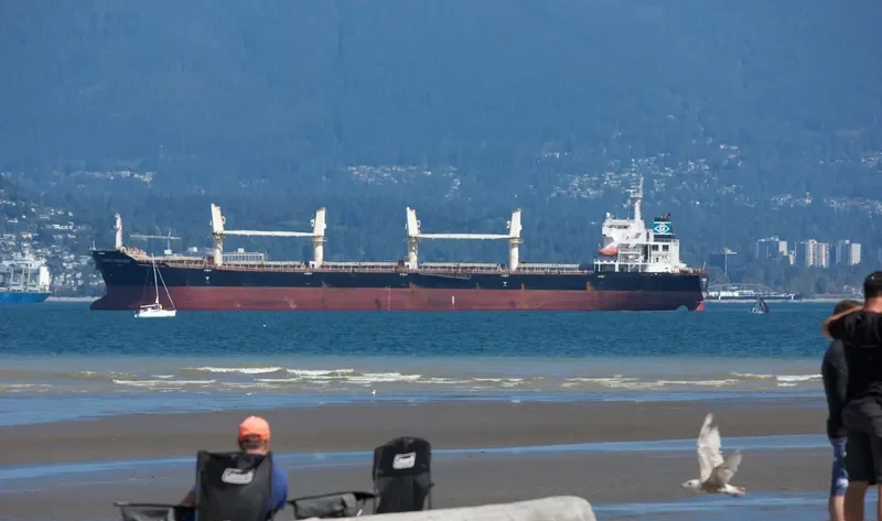 OCEAN CROSS Bulk Carrier IMO 9345817 photo 6