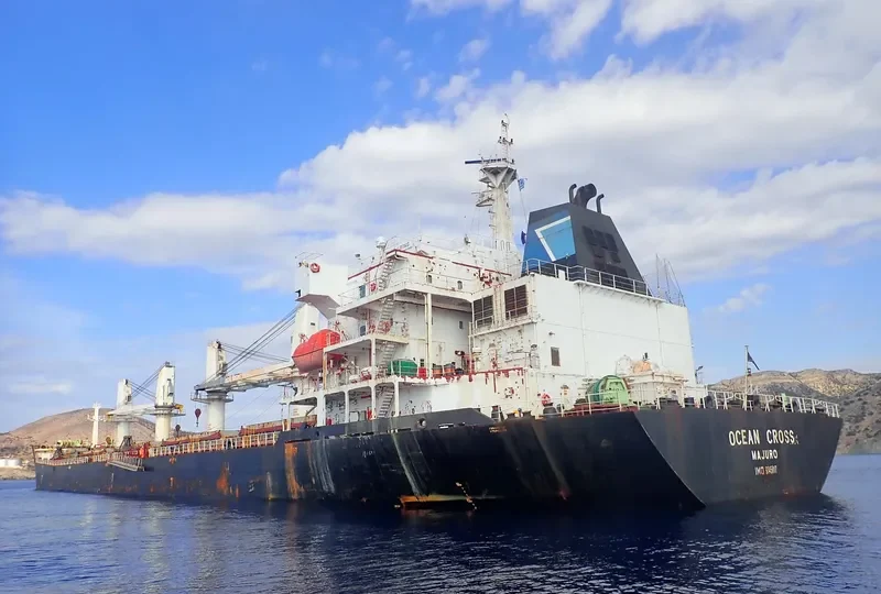 OCEAN CROSS Bulk Carrier IMO 9345817 photo 9