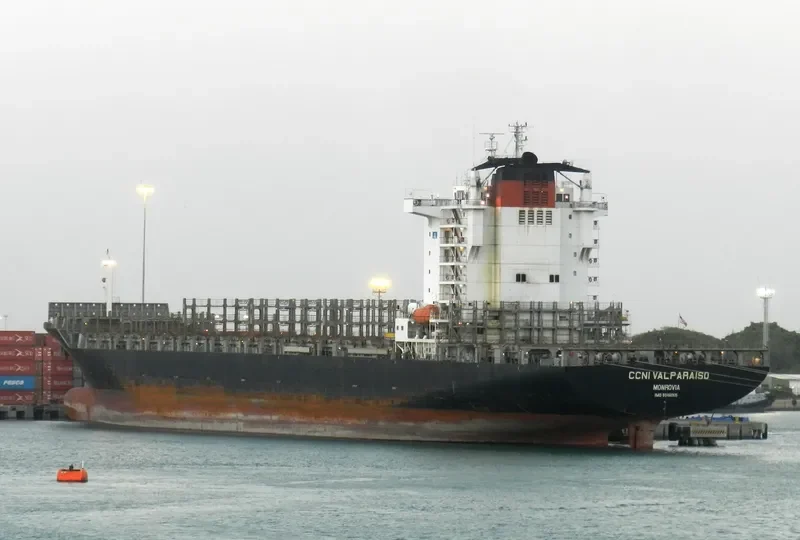NORTHERN DELEGATION Container Ship IMO 9346005 photo 2