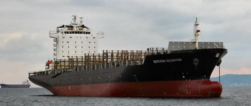 NORTHERN DELEGATION Container Ship IMO 9346005 photo 3