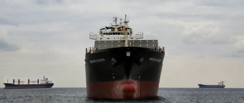 NORTHERN DELEGATION Container Ship IMO 9346005 photo 4