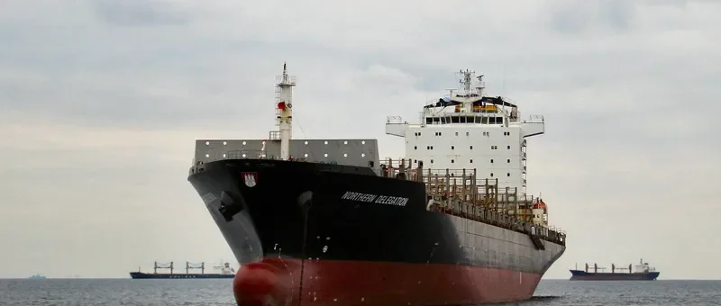 NORTHERN DELEGATION Container Ship IMO 9346005 photo 5
