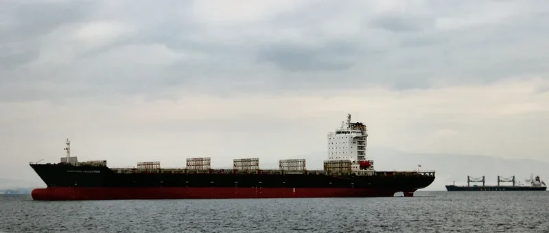 NORTHERN DELEGATION Container Ship IMO 9346005 photo 7