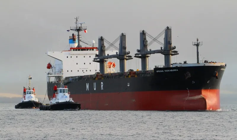 LUMOSO BERKAT Bulk Carrier IMO 9346055 photo 2