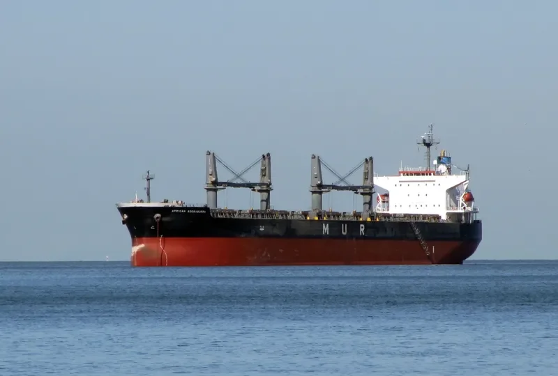 LUMOSO BERKAT Bulk Carrier IMO 9346055 photo 4