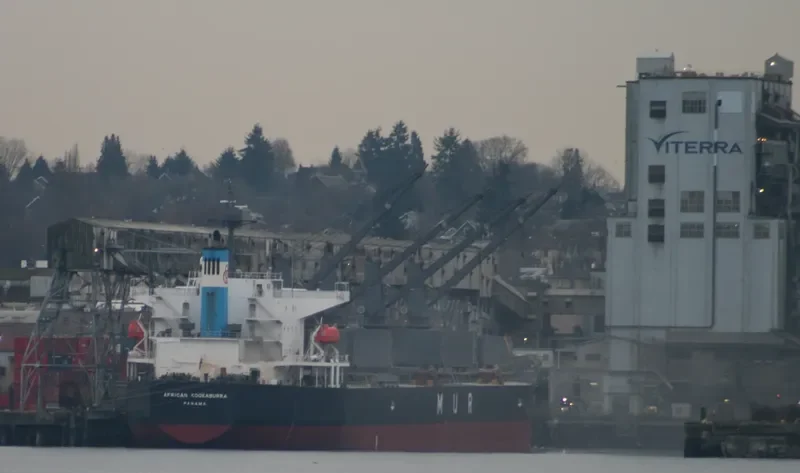 LUMOSO BERKAT Bulk Carrier IMO 9346055 photo 7