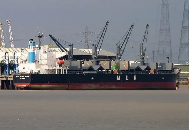 LUMOSO BERKAT Bulk Carrier IMO 9346055 photo 8