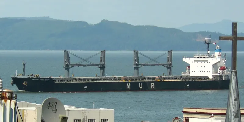 LUMOSO BERKAT Bulk Carrier IMO 9346055 photo 10