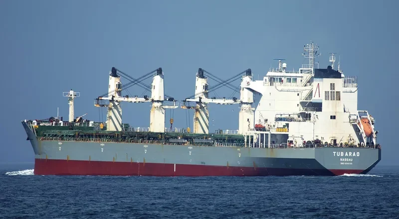 JIN SHUN Bulk Carrier IMO 9346160 photo 4