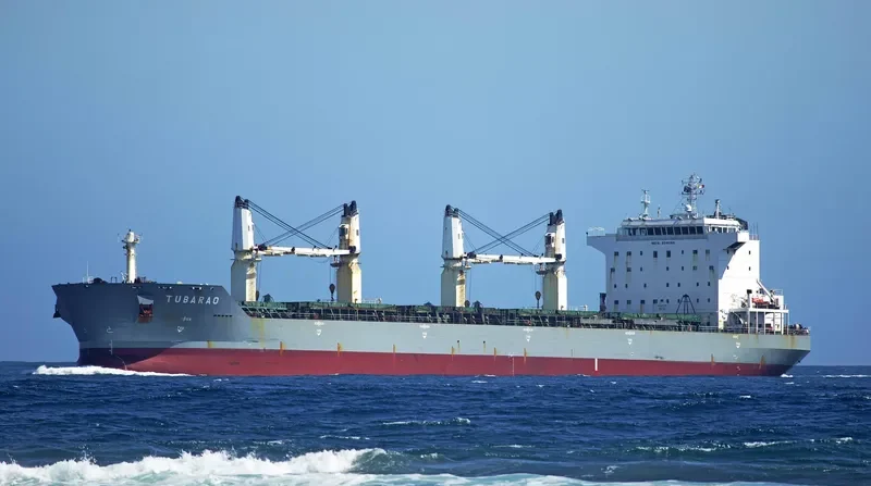 JIN SHUN Bulk Carrier IMO 9346160 photo 5