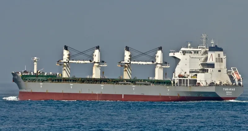 JIN SHUN Bulk Carrier IMO 9346160 photo 7