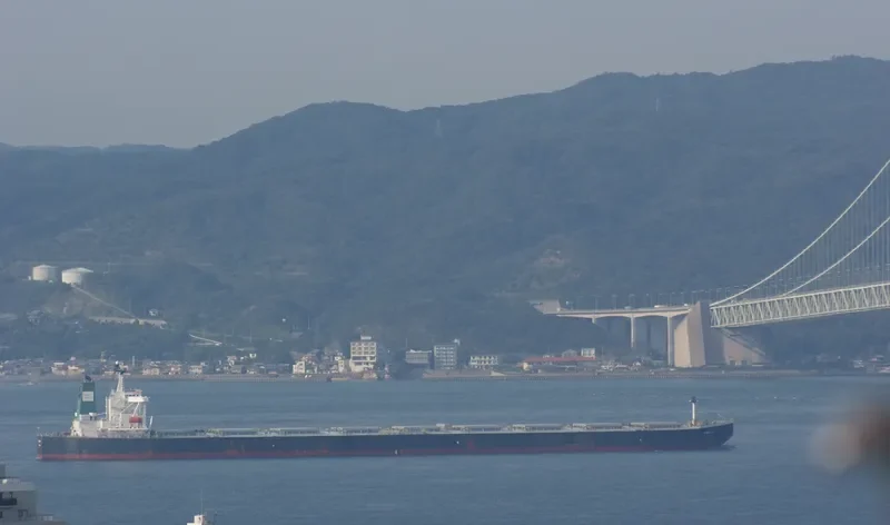WINNING UNIVERSE Bulk Carrier IMO 9346172 photo 5