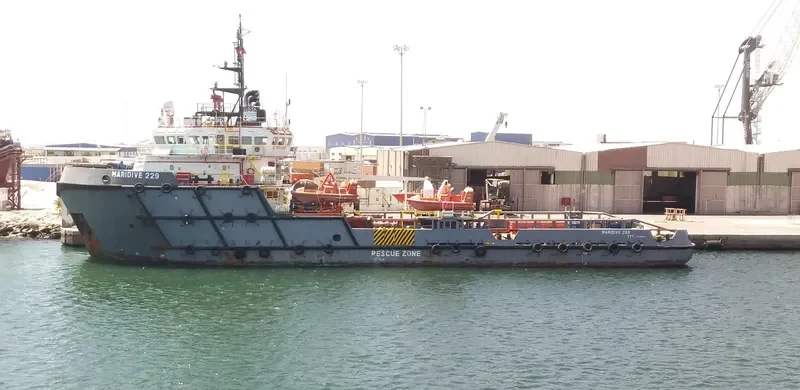 MARIDIVE 229 General Cargo IMO 9346275