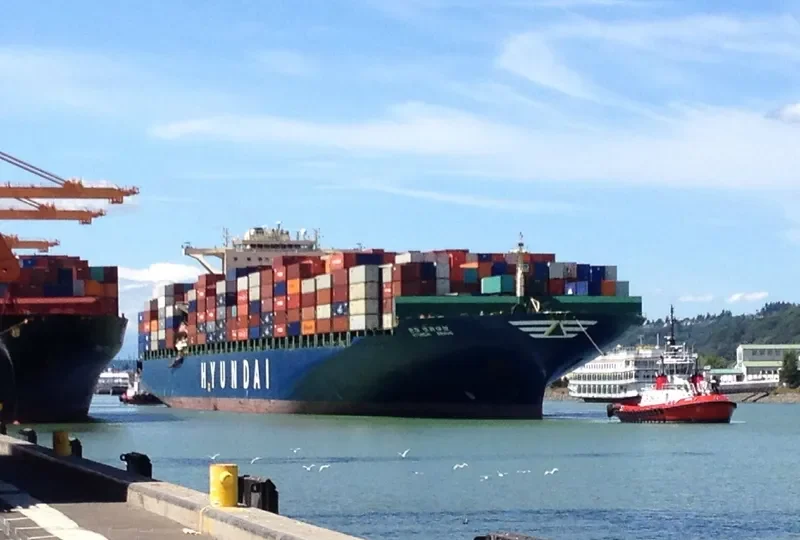 HYUNDAI BRAVE Container Ship IMO 9346304 photo 8