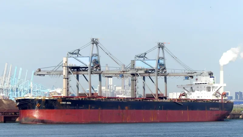 BERGE ROSA Bulk Carrier IMO 9346378