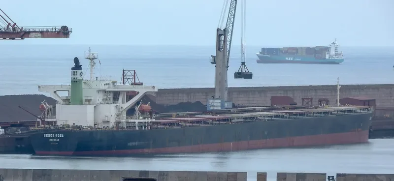 BERGE ROSA Bulk Carrier IMO 9346378 photo 2
